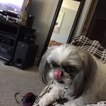 Byron Sweet - @byronsweet - Instagram