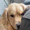 Byron swift - @byron.swiftxo - TikTok