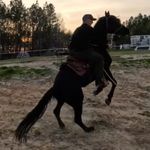 Byron Tabor - @byrontabor - Instagram