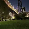 IT@CHI.502 - @byron.tom7 - TikTok