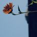 Byron Townsend - Facebook