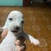Buronn Trầnn - Facebook