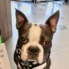 Byron Elliott - @byrontravels - TikTok