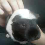 Byron - @byron_trimmer - Instagram