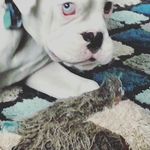 Byron Trimmer - @trimmerbyron - Instagram
