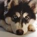Byron Tyler - Facebook