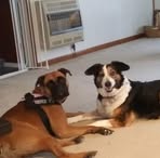 Byron Tyler - Facebook