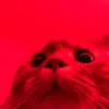 Byron Verdugo - @byronverdugo - TikTok