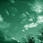 Byron Vincent Clark - @greytown07 - Instagram