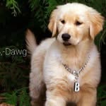 Byron Watts - @byronwatts80 - Instagram