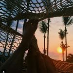 byron wells - @byronwellsnew - Instagram
