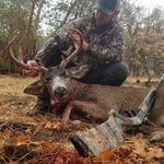 Byron Wells - @tradbrother - Instagram