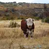 byronwesley502 - @byronwesley502 - TikTok