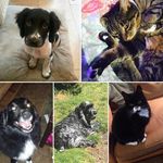 lizzy and benita. - @byron.charlie.may.sam.winnie - Instagram