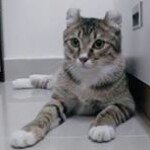 Byron Wong - @byronwong1 - Instagram