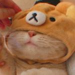 🥀oh Byung:) - @oh.byung_ - Instagram