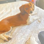 Bella Cabbell Hughey Guzman - @bella.cabbell - Instagram