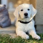 Cache Brown - Facebook