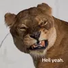 Cade_Adam - @cade_adamson01 - TikTok