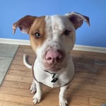 Cade Alexander - @keepingcade - Instagram