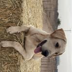 Cade Allen - Facebook