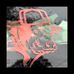 Cade Allred - Facebook