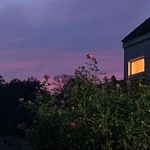 Cade Armstrong - @cadearmstrong2 - Instagram