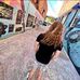 Kade Ashton Avans - Facebook