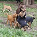 Cade Barnett - Facebook