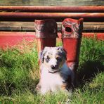 Cade Baxter - Facebook