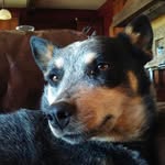 cade bethea - @cadebethea - Instagram