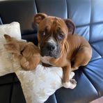 Cade Blake - Facebook