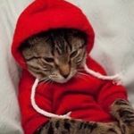 Cade Bowman - @cadebowman7 - Instagram