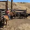 caden.bradley - @caden.bradley - TikTok