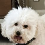 Cade Brady - @cadebrady_ - Instagram