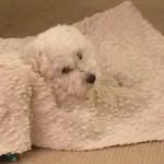 Cade Brady - @cadebrady49 - Instagram