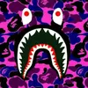 Kade Bruce - @kade.bruce4 - TikTok