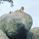 Cade Buckley - @cadebuckley8 - Instagram