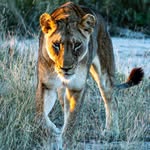 Cade Campbell - @cadecampbell_photography - Instagram