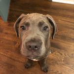 Cade Cannon - @cannon_cade - Instagram