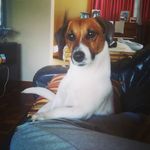Cade Cannon - @cadethecannon - Instagram