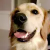 cade - @cade.carpenter - TikTok