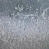 Cade Carpenter - @cade.carpenter4 - TikTok