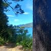 Cade_ Carroll@ NZ - @cade_carrollnz - TikTok