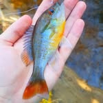Cade/Chase - @fish_photos_c - Instagram