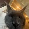 Cade.Christensen - @cade.christensen69 - TikTok