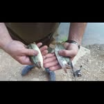 Caden Cobb - @caden.cobb - Instagram