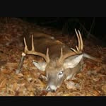 Cade_Coffman22-250 - @cade_coffman22_250 - Instagram