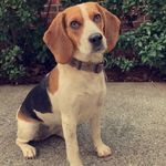 Cade coleman - @cade_coleman - Instagram