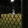CadeCollins69 - @cade3collins - TikTok